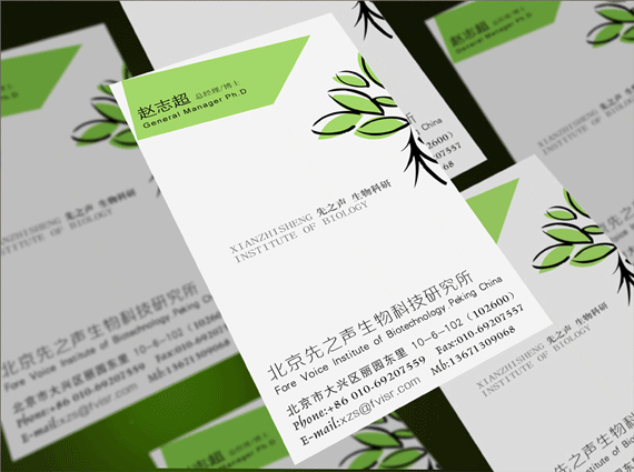 2006年以前的老作品