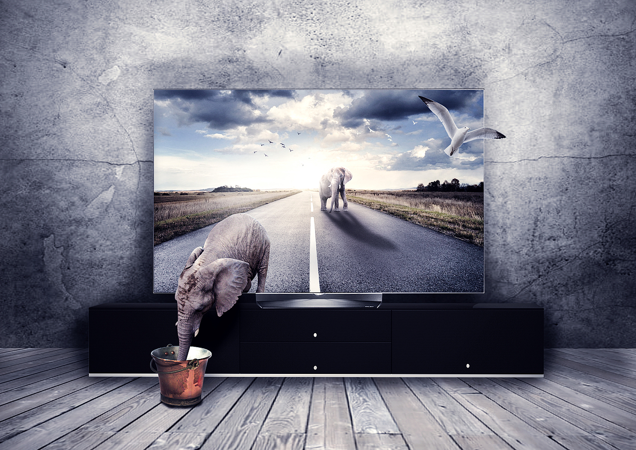 平面设计（图ZMTc5MzUzMTIw） - 其他平面 - 站酷设计师滴滴哒哒_原创素材 - 站酷ZCOOL