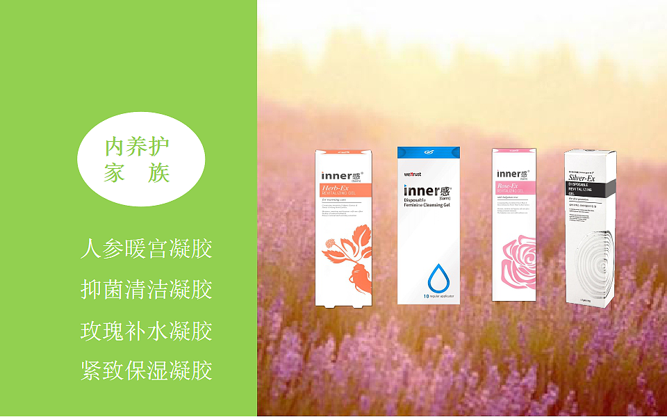 产品介绍PPT