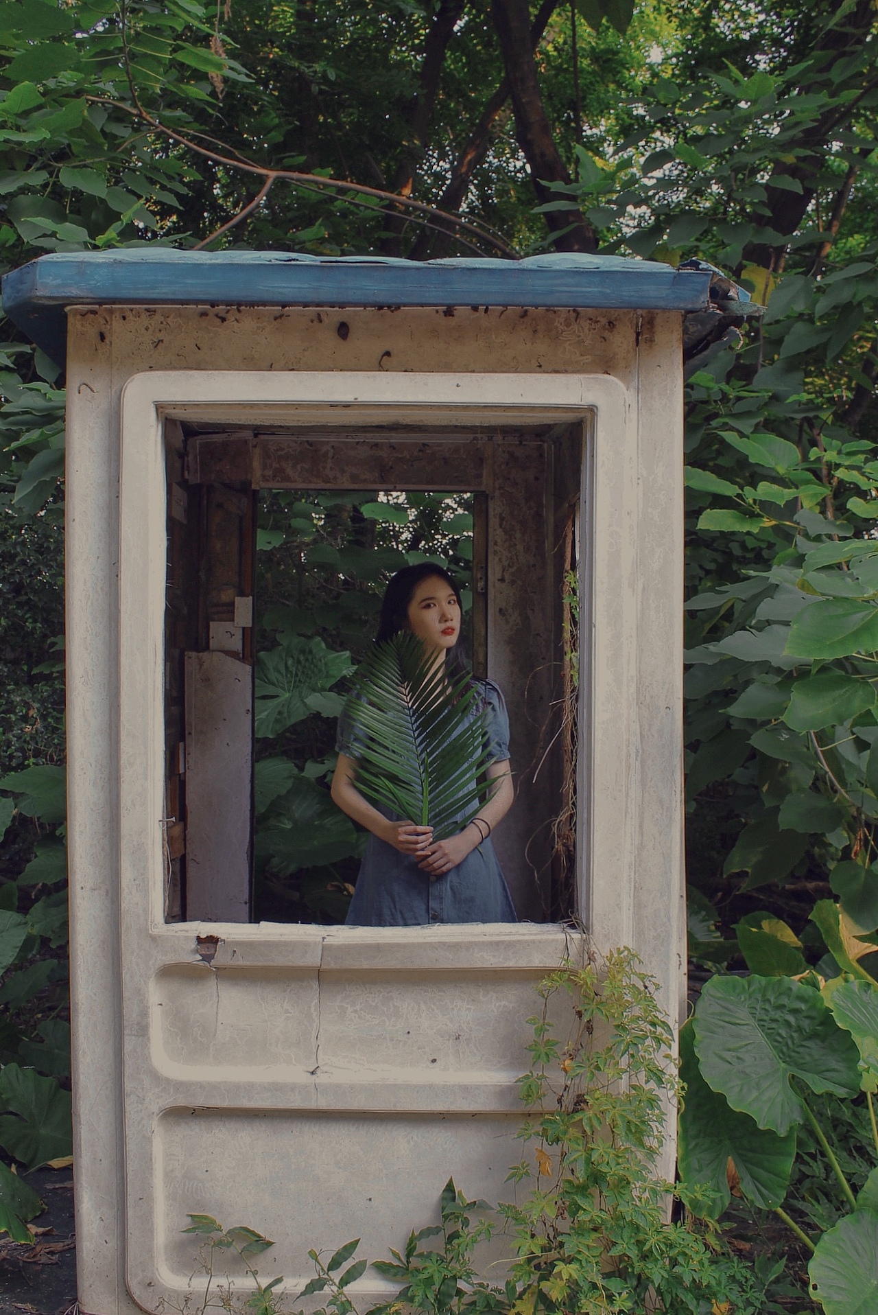 那些同回忆并行的光✨