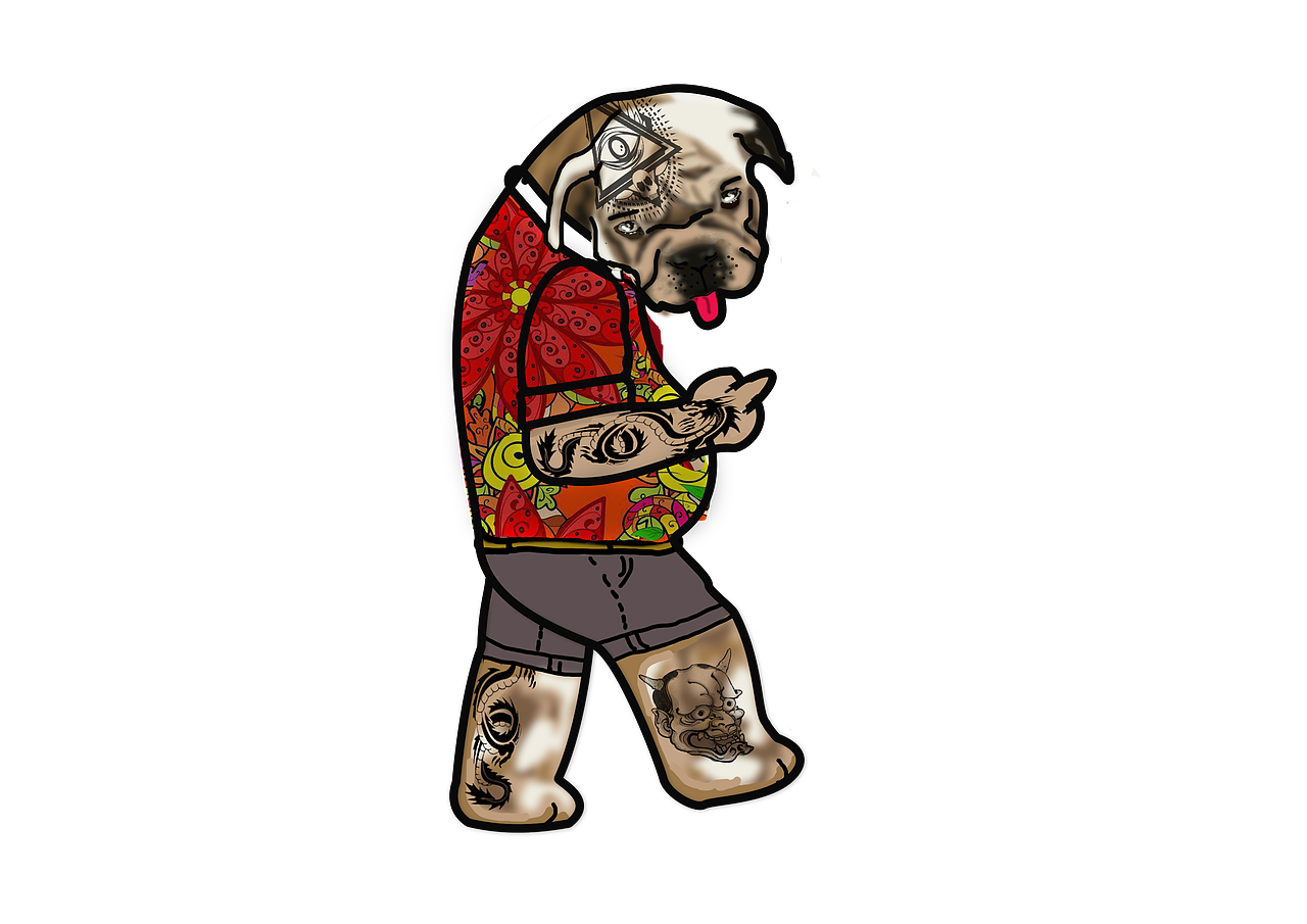 邓二狗与胡拉喵