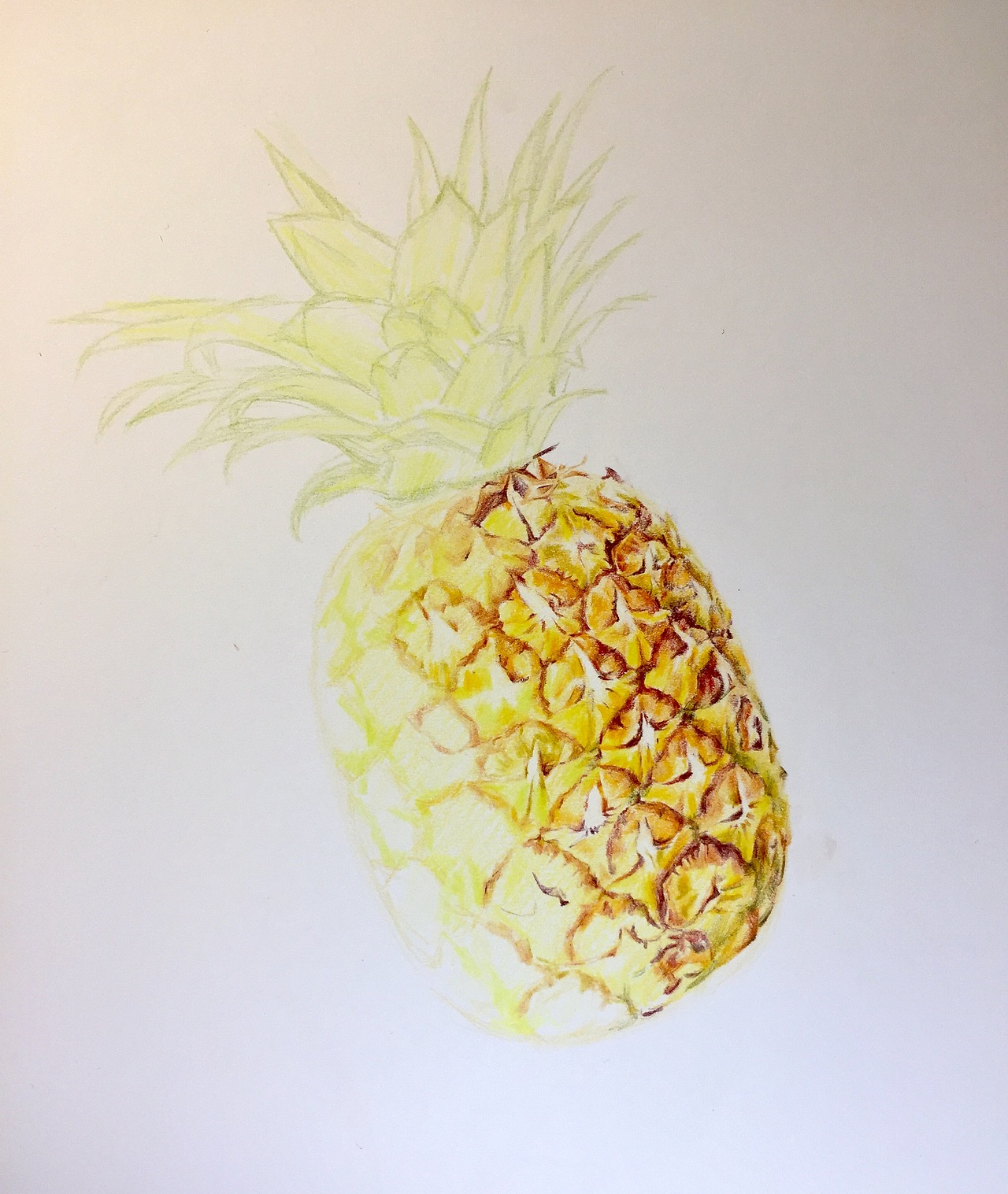 彩铅菠萝（图ZMTI3MjQ3MjA4） - 绘画 - 站酷设计师OK小画原创素材 - 站酷ZCOOL