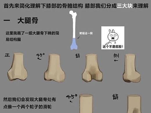 [CG经验] 人体的膝盖应该怎么画