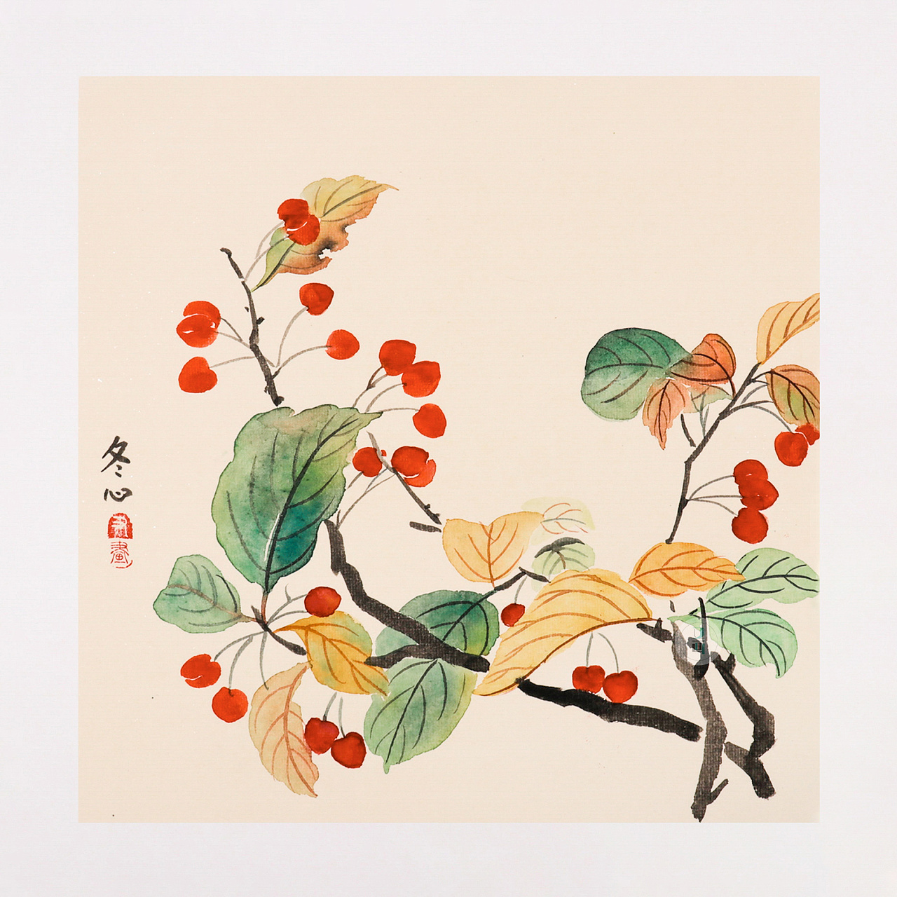 国画——没骨花卉秋海棠的绘画步骤分享