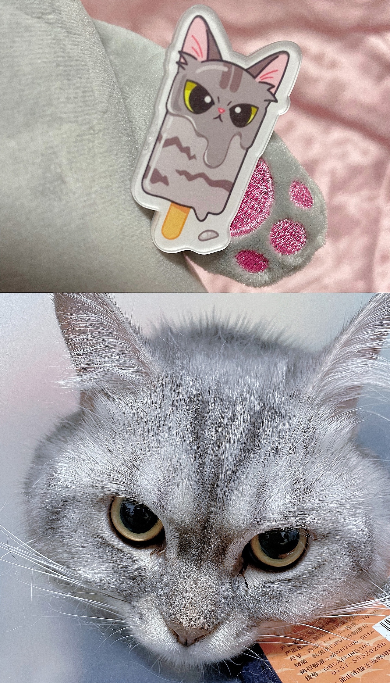 【Cat Ice Cream】| 徽章设计 | 猫咪冰淇淋（图ZMjY0Nzk0NDA0） - 首饰设计 - 站酷设计师一羊少侠原创素材 - 站酷ZCOOL