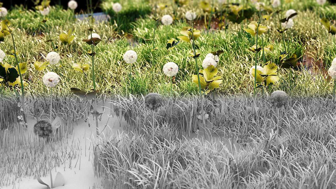 Octane Render For C4D {草中蒲公英}