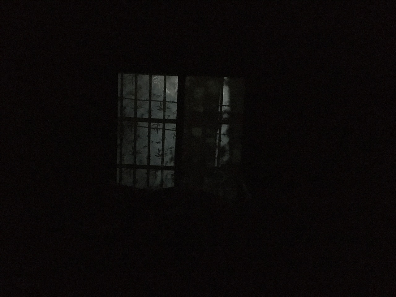 没有枝丫的窗口