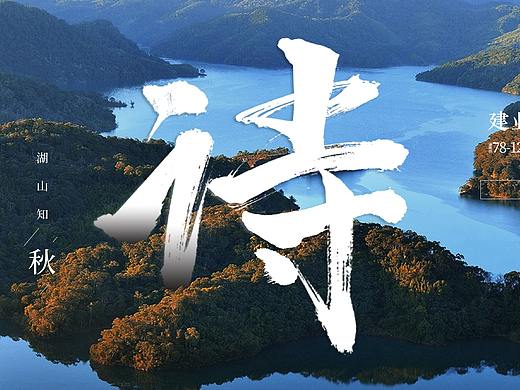 建业十里湖山系列海报