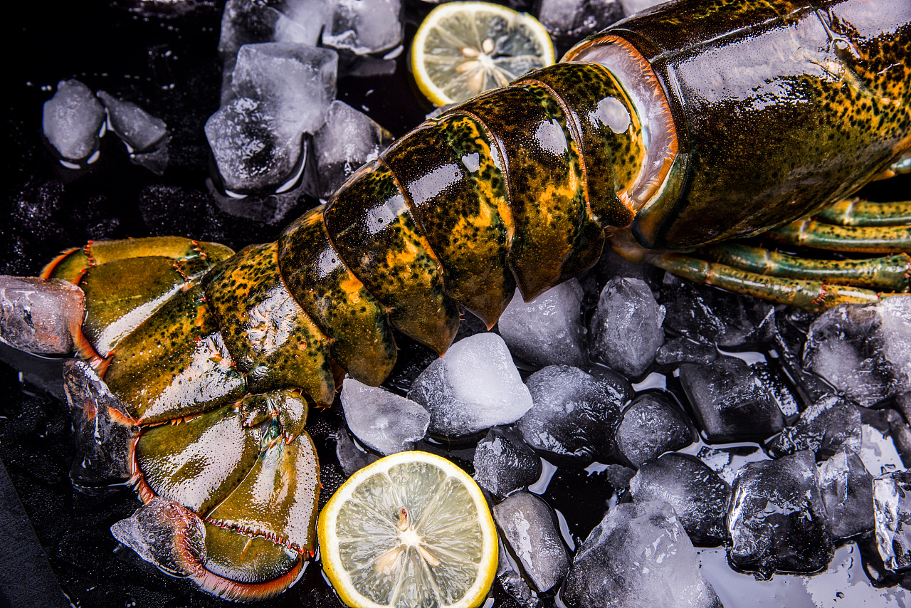 澳洲龙虾|摄影|产品摄影|洛洛爸 - 原创作品 - 站酷 (zcool)