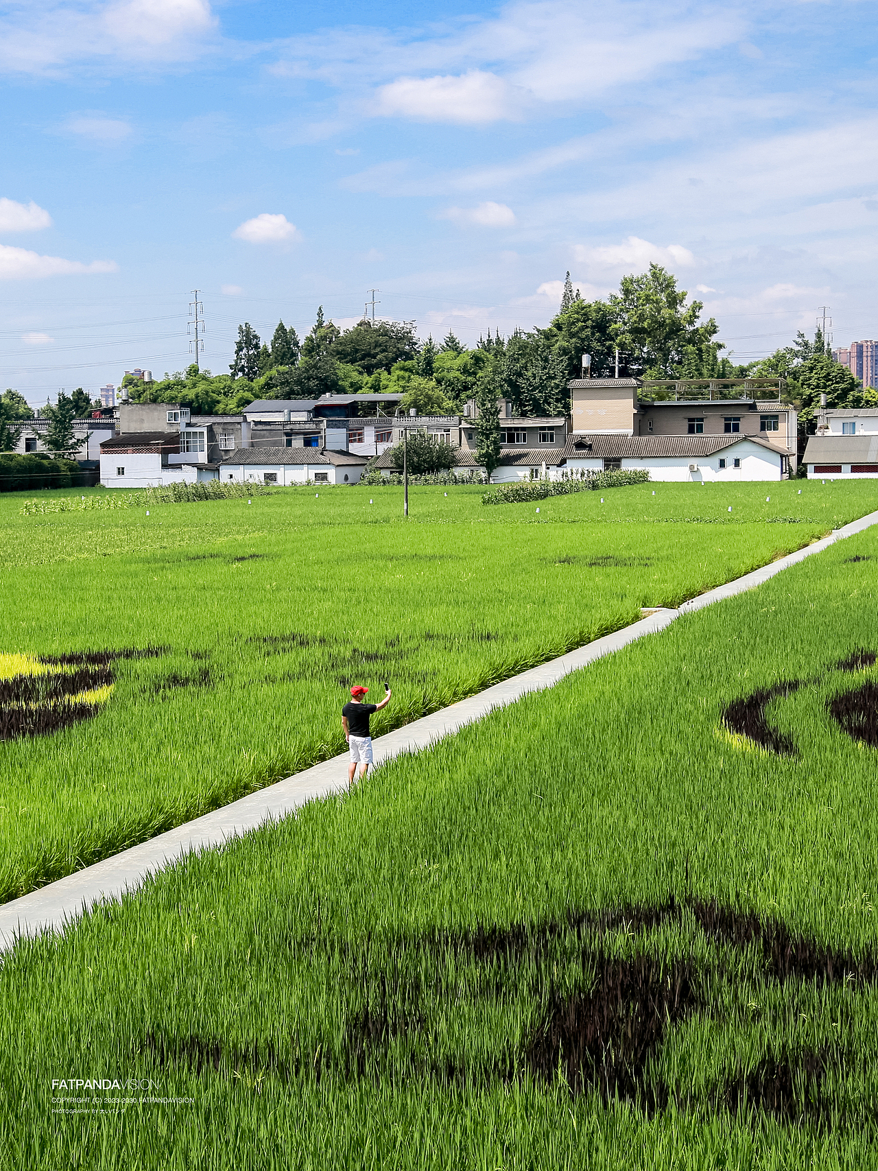 [旅行] 治愈系“稻海”：万春·和林稻海