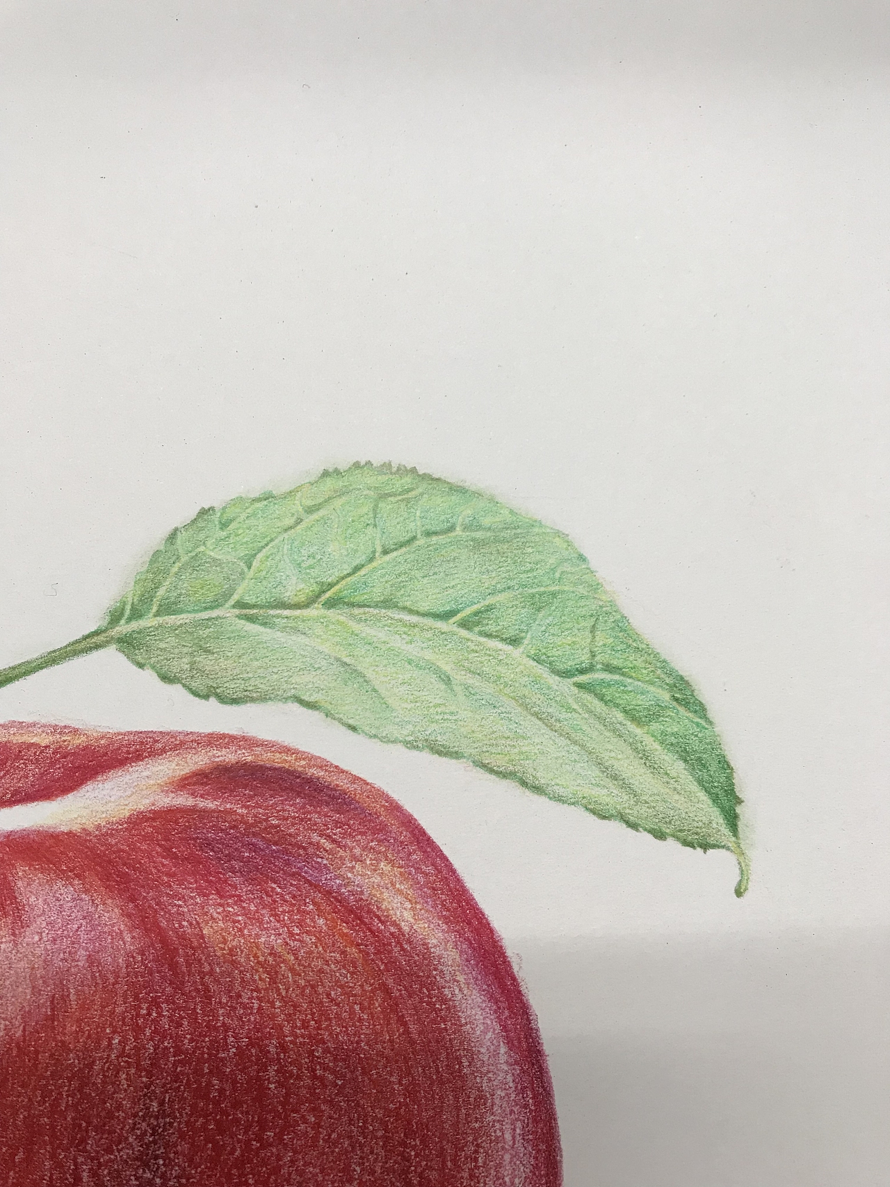 彩铅水果系列苹果