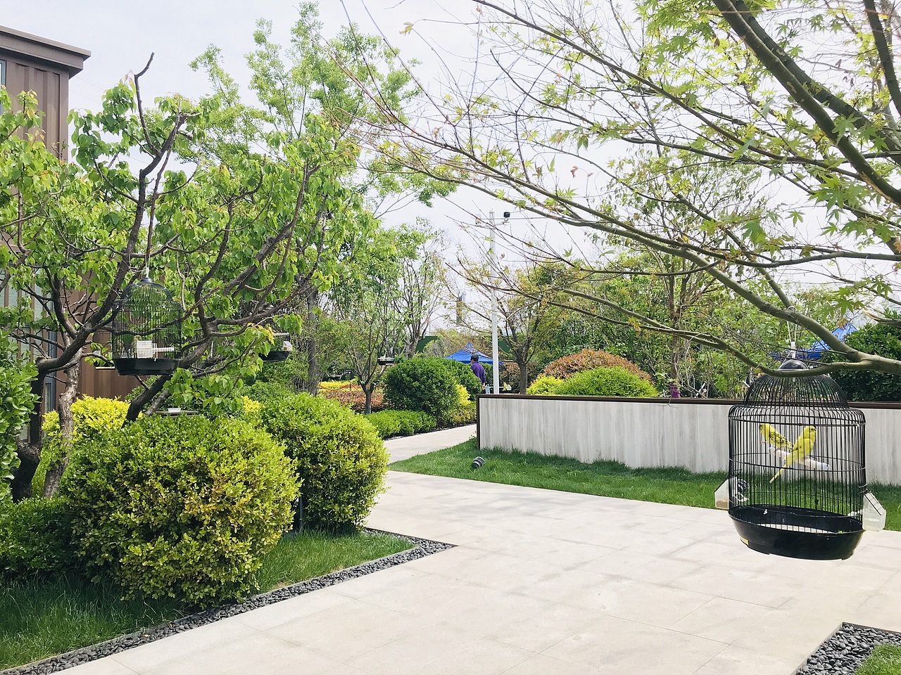 萌宠百鸟展（万达广场）（图ZMjA1NTU2MjE2） - 人文/纪实摄影 - 站酷设计师放狼的小羊原创素材 - 站酷ZCOOL