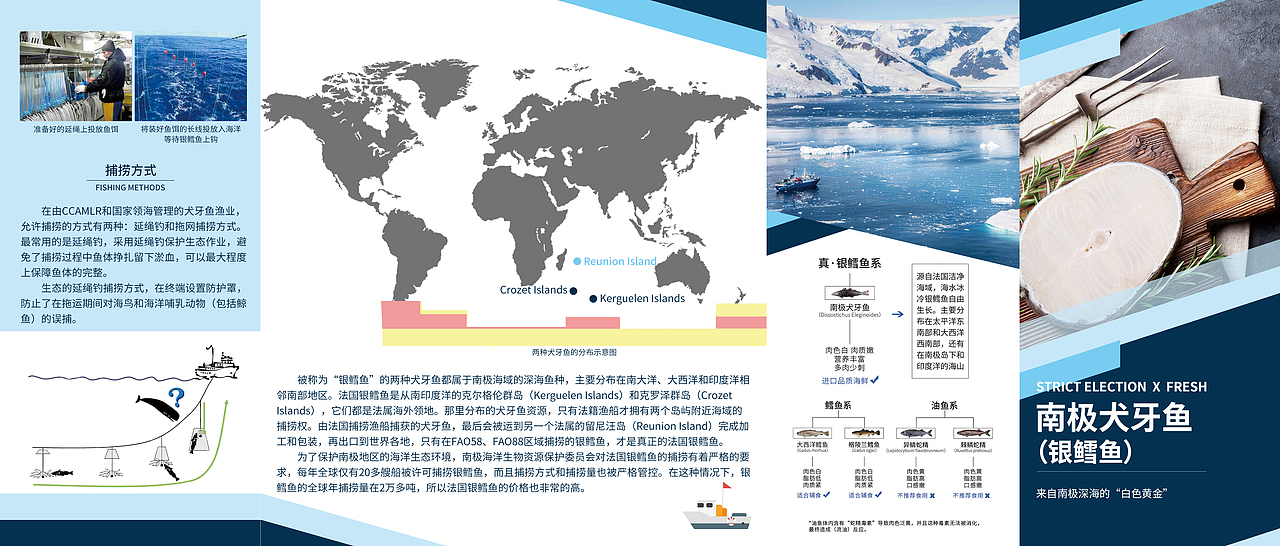 logo、dm、海报、名片、三折页设计（图ZMjY1MDg3OTky） - 宣传物料 - 站酷设计师小岛island原创素材 - 站酷ZCOOL