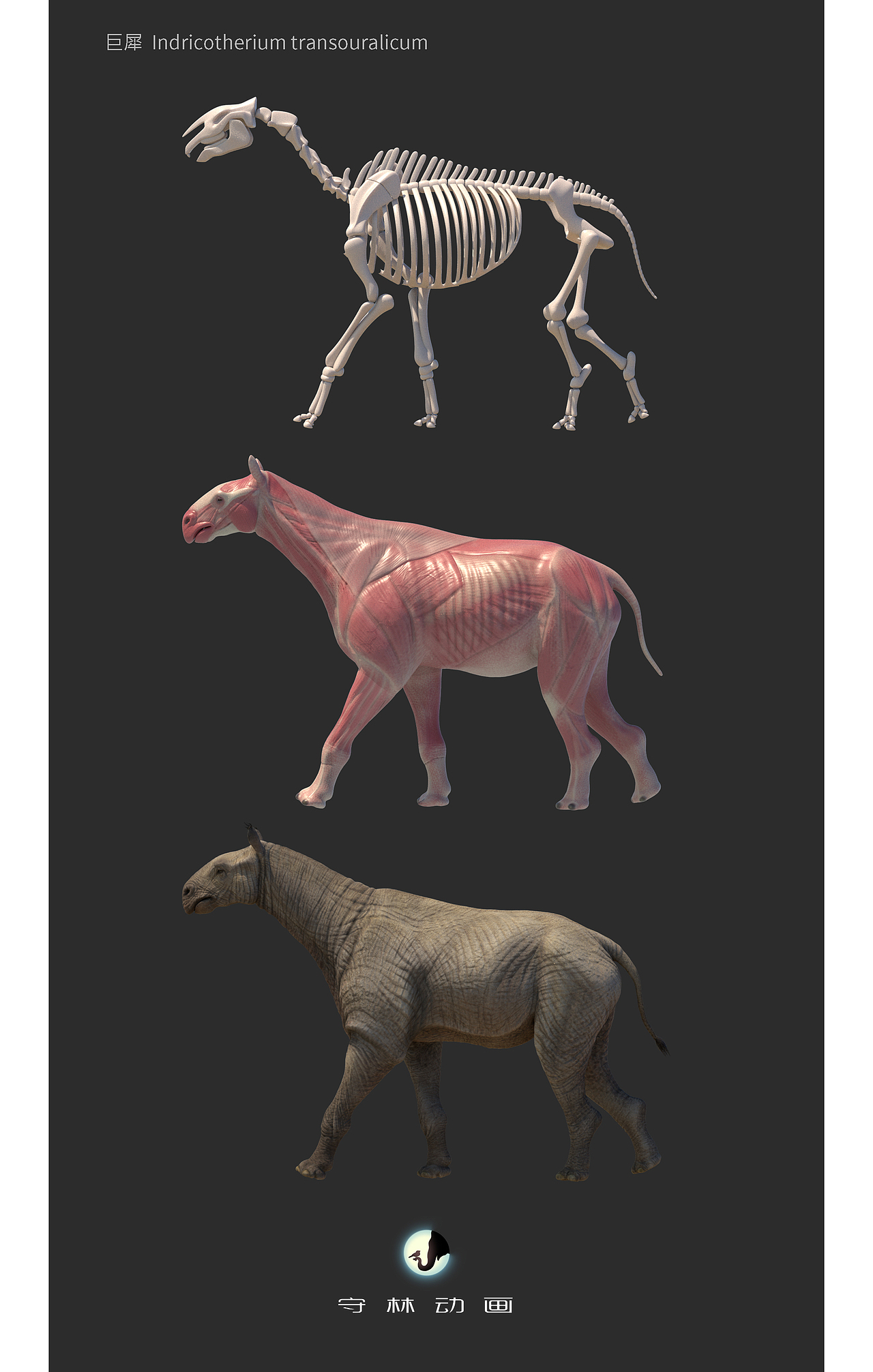 CG古生物复原 巨犀 附动画测试