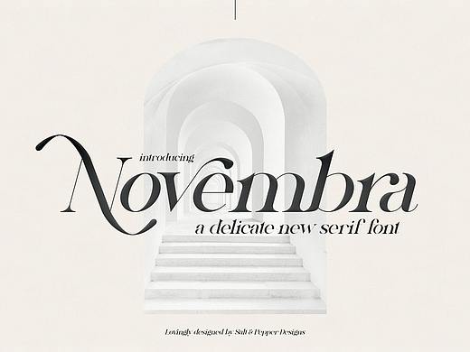 Novembra Serif英文字体设计