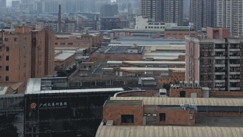 疫情上半年都干了些啥呀我