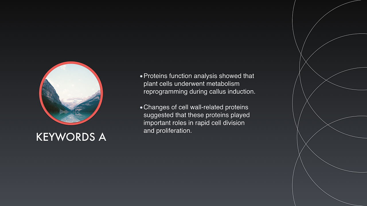 【keynote】简约流畅商务汇报总结模板