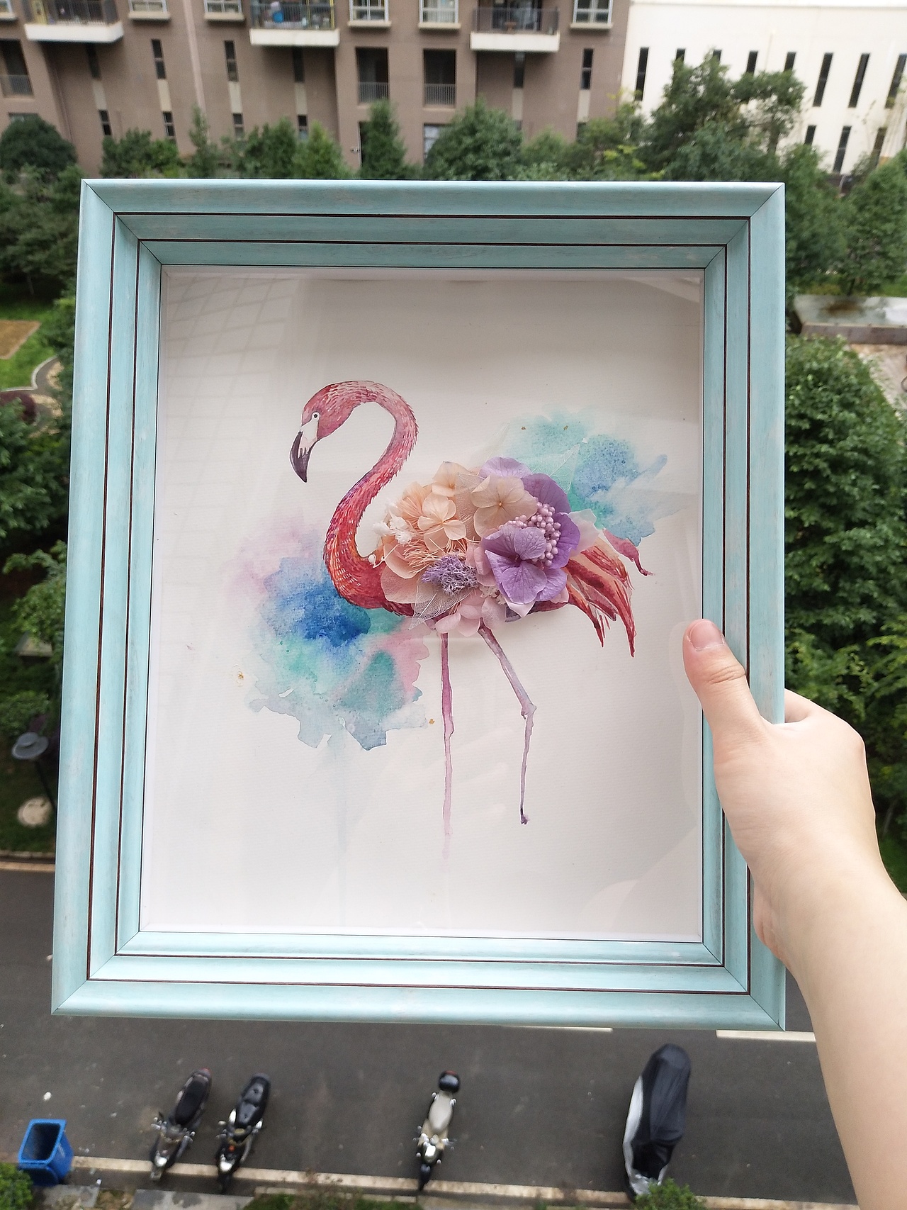 永生花插画画框|插画|艺术插画|赵阿弧_原创作品-站酷(zcool)