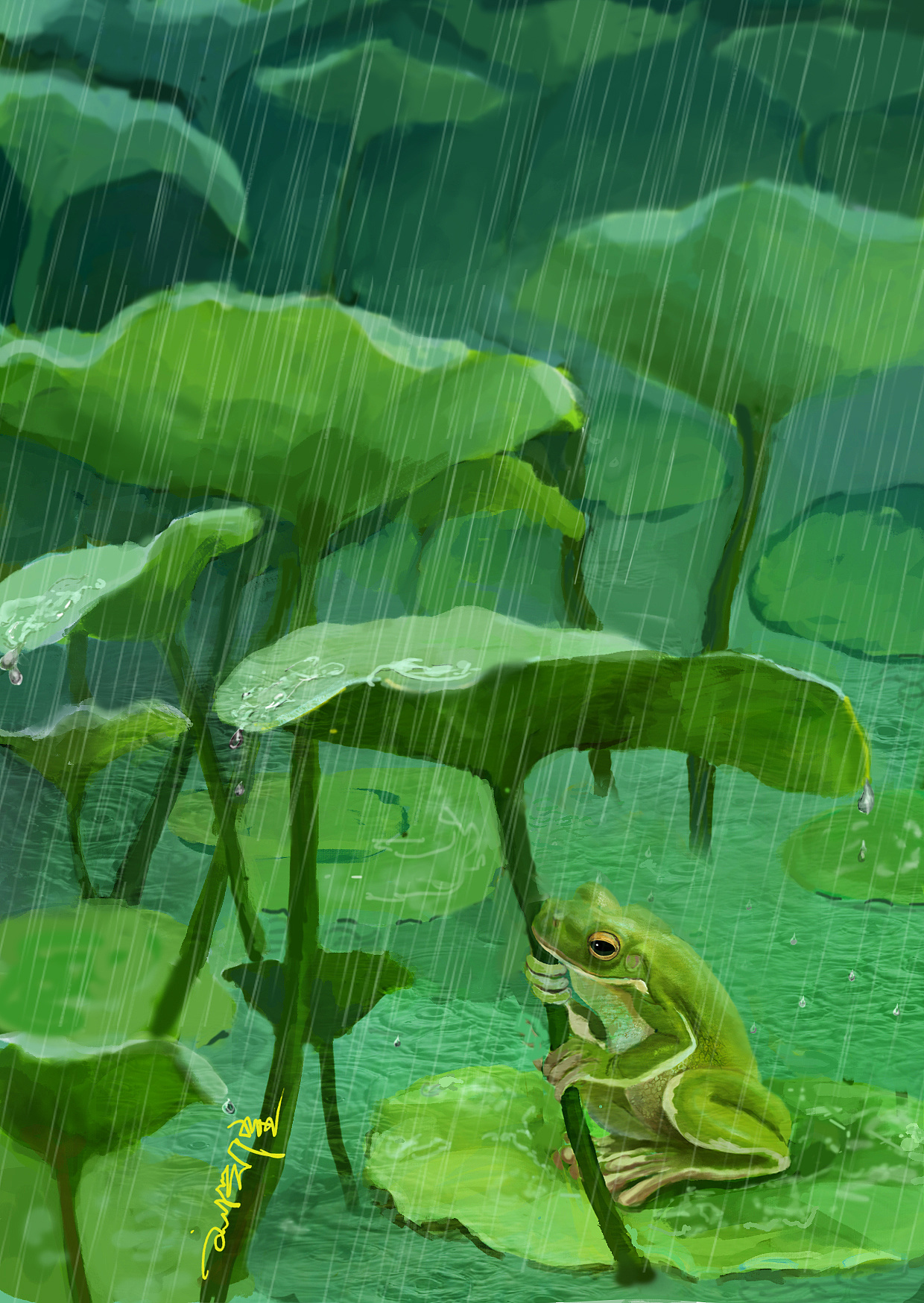 池塘里的青蛙绿色壁纸_桌面壁纸_mm4000图片大全