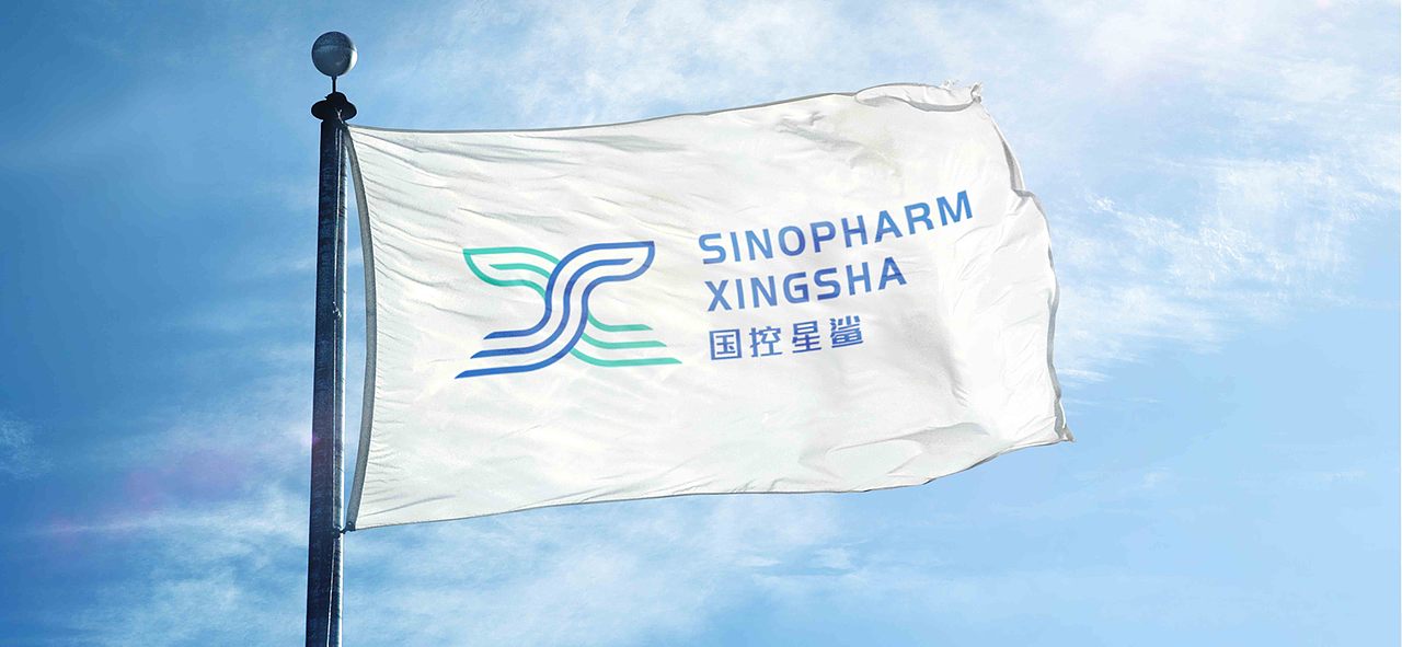 国控星鲨 LOGO&70周年徽标 设计