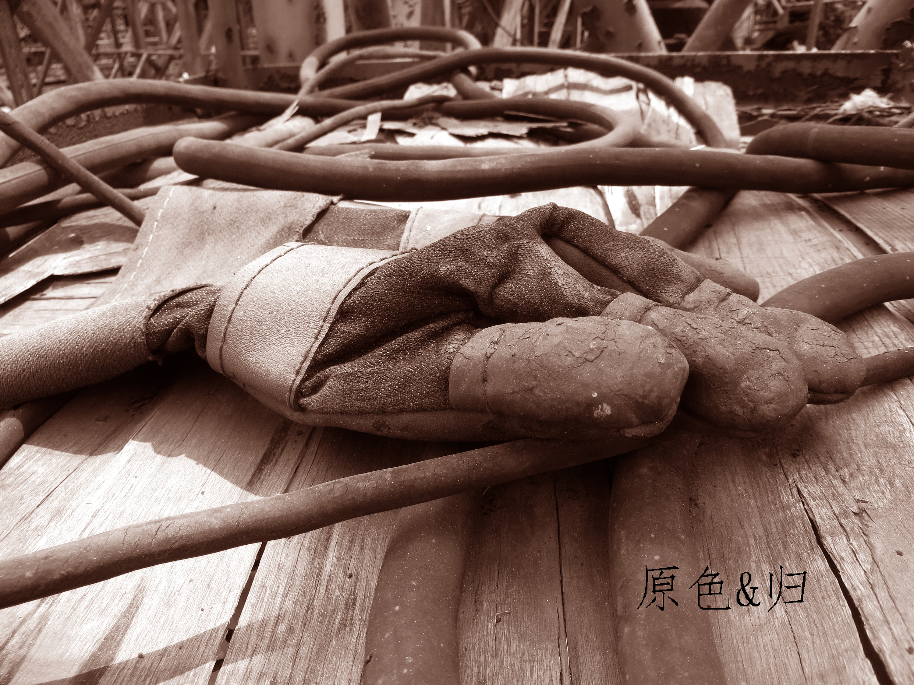 原色&归|摄影|静物|风一样的自由34 - 原创作品 - 站酷 (zcool)