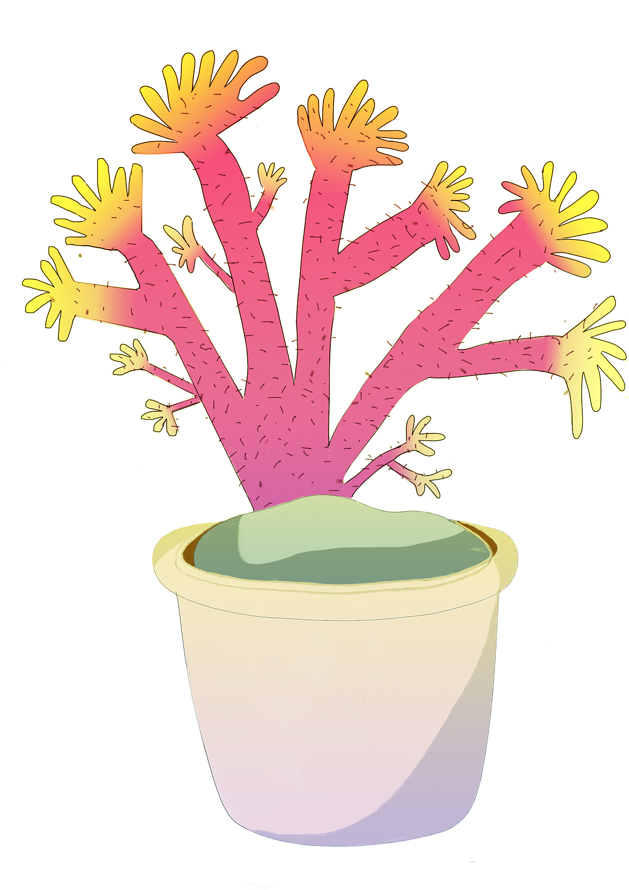 盆栽小海葵-插画习作