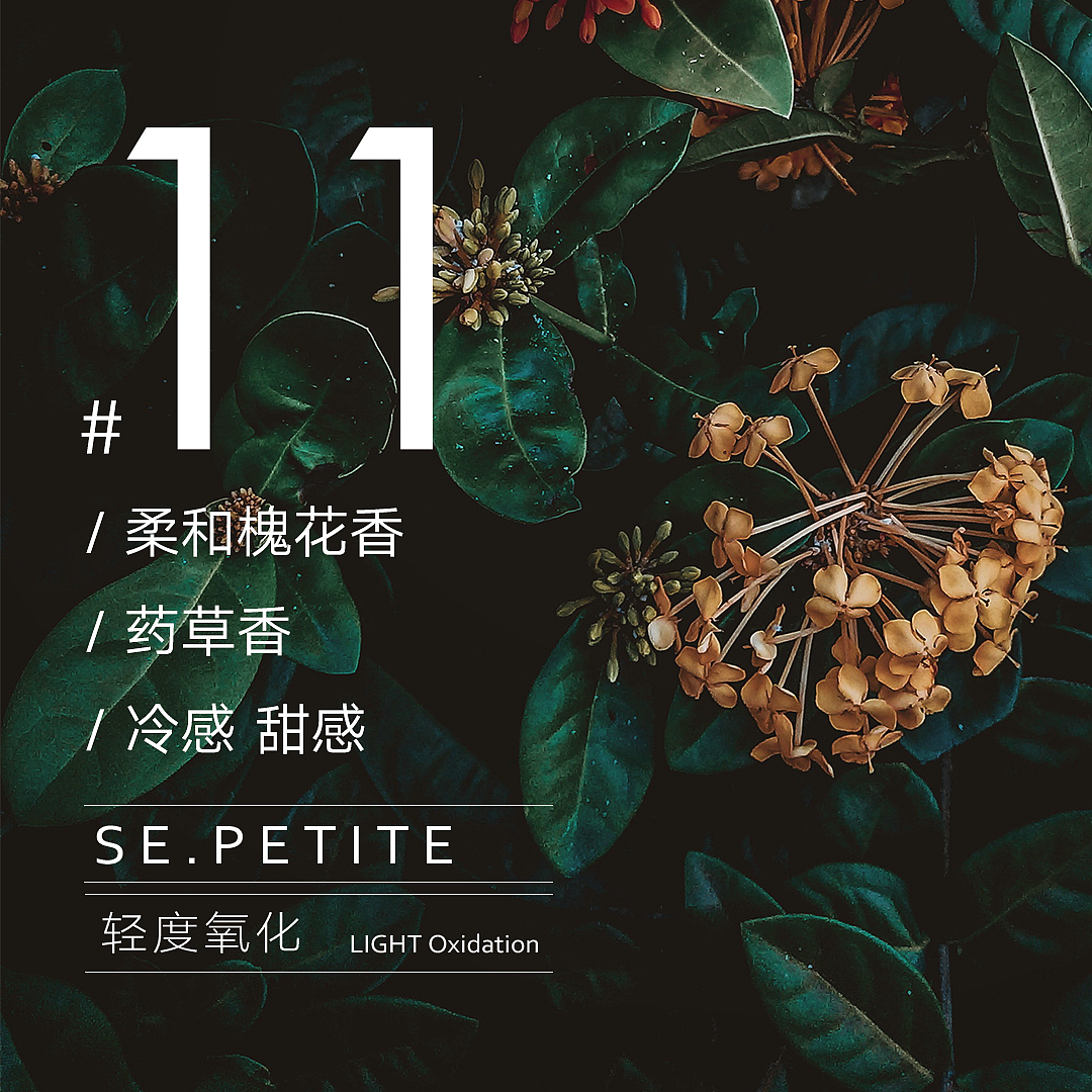 生涩khyrse原叶精品茶饮PETITE-11拍摄案（图ZMTc5ODk3NTA0） - 产品摄影 - 站酷设计师canaanvision原创素材 - 站酷ZCOOL