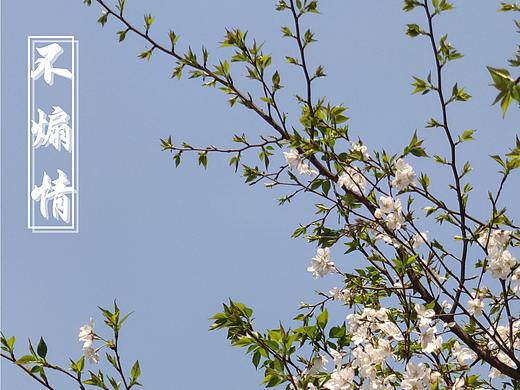 花呀~（个人主页-ZMzQ2MjI1NzI=） - 其他摄影 - 站酷设计师岁聿原创素材 - 站酷ZCOOL