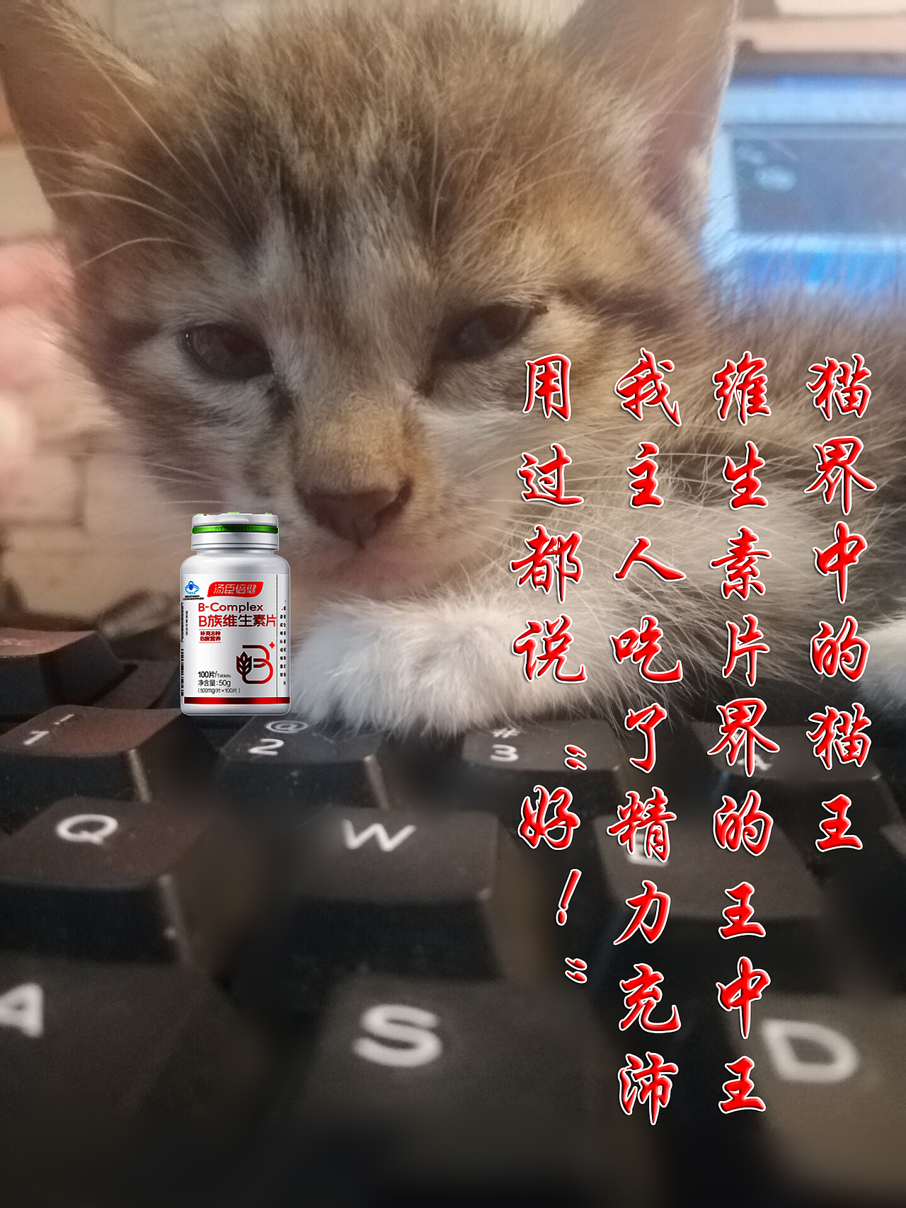 以猫为主题（图ZMjc4ODIzMzA4） - 生活用品 - 站酷设计师疯狂设计杨原创素材 - 站酷ZCOOL