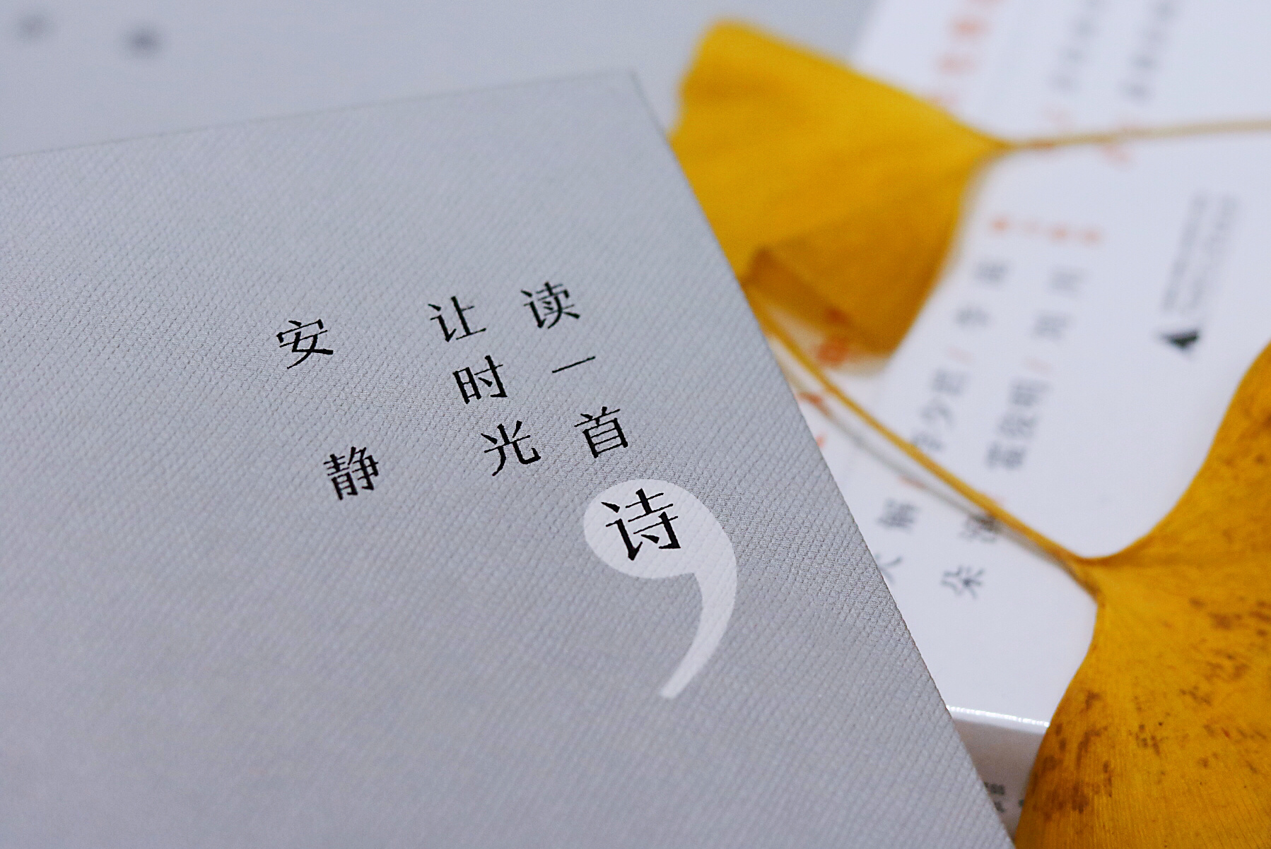 《读一首诗,让时光安静》,欢愉在于细小,在于沉默.