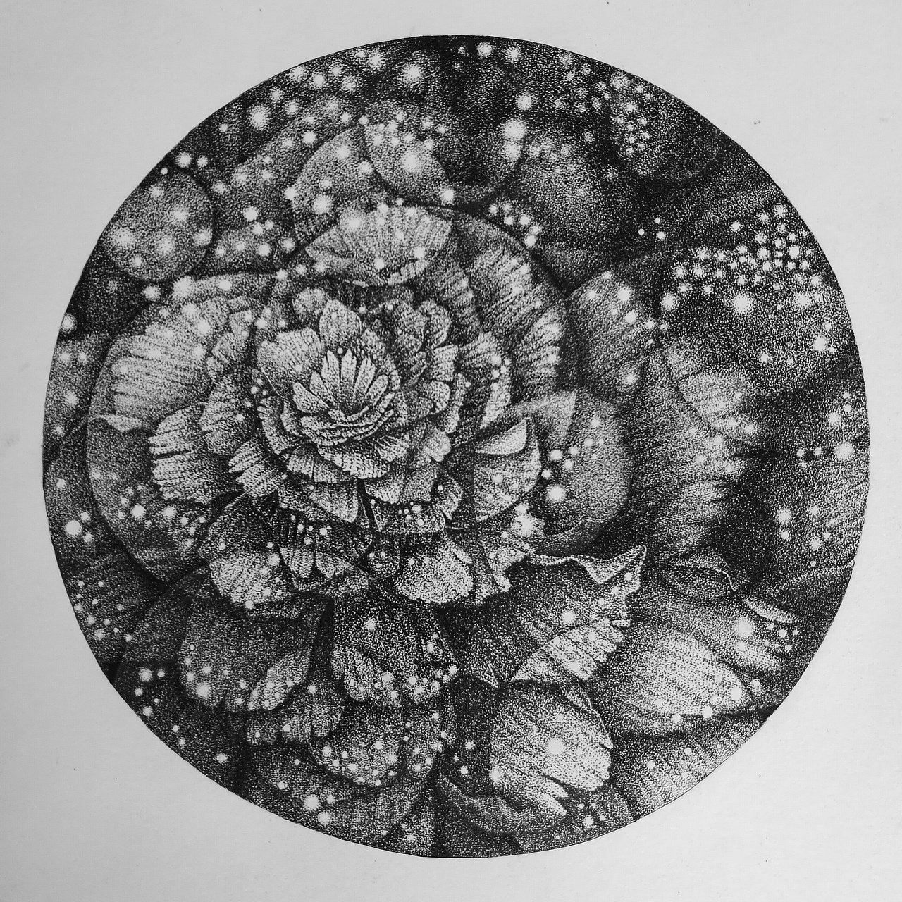 無名花（圖ZNzY3MDAwNDg=） - 創(chuàng)作習(xí)作 - 站酷設(shè)計(jì)師一盒火柴原創(chuàng)素材 - 站酷ZCOOL