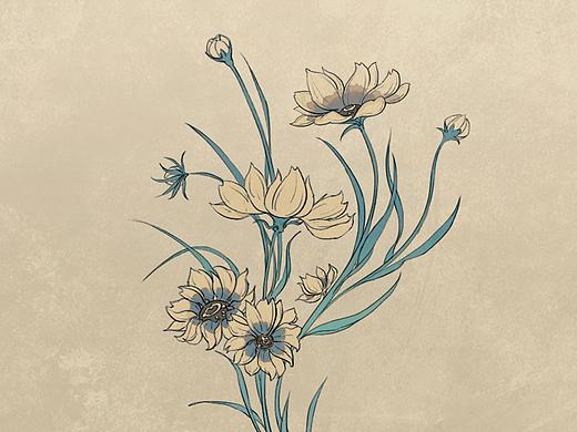 波斯菊（個人主頁-ZNDExNjExNDA=） - 創(chuàng)作習作 - 站酷設計師蘇俺原創(chuàng)素材 - 站酷ZCOOL