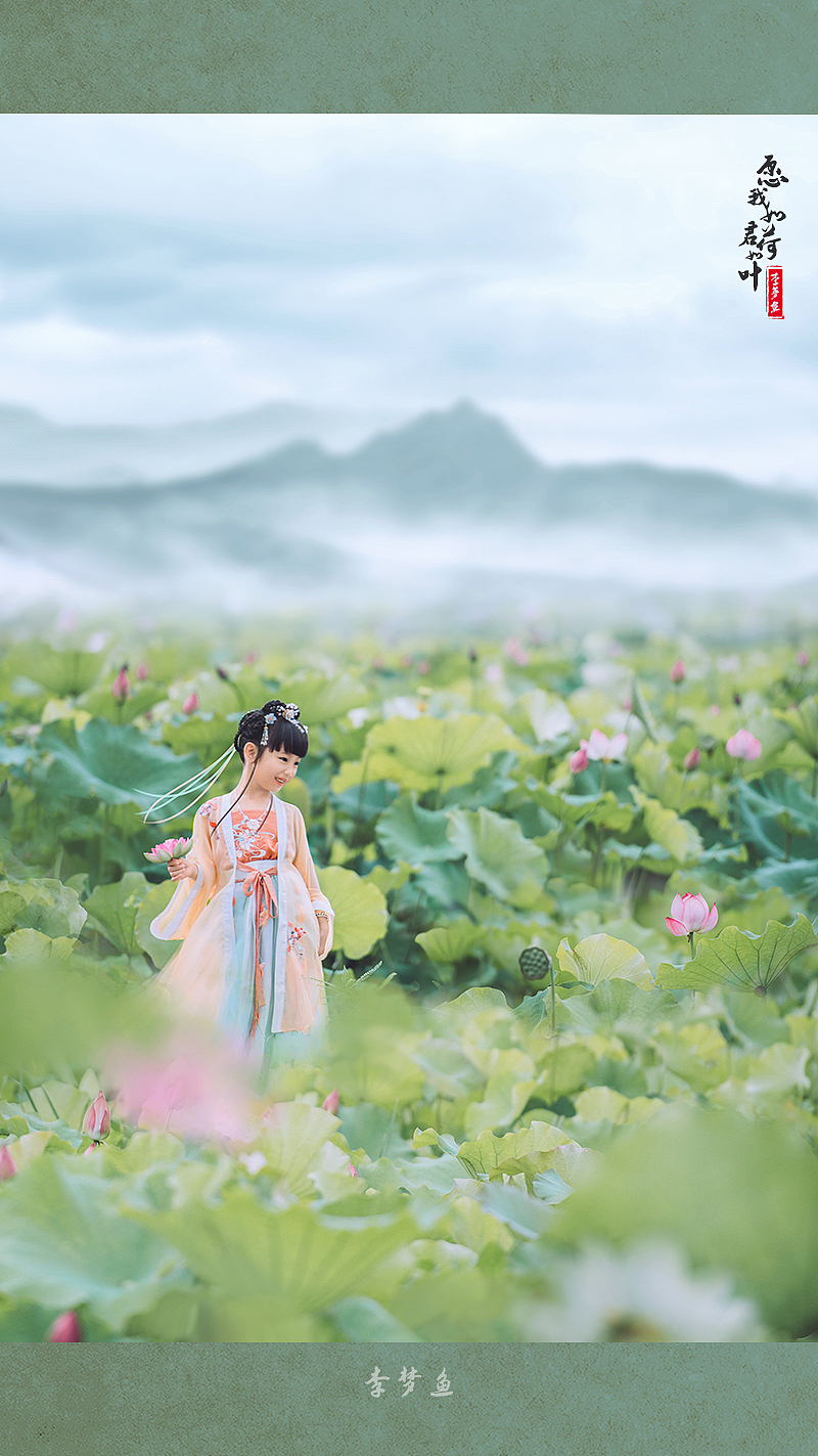 愿我如荷君如叶