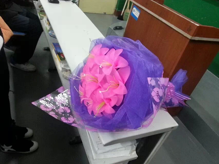 永生花（图ZNDU0ODEyNzY=） - 其他手工艺 - 站酷设计师zhuxiaobao原创素材 - 站酷ZCOOL