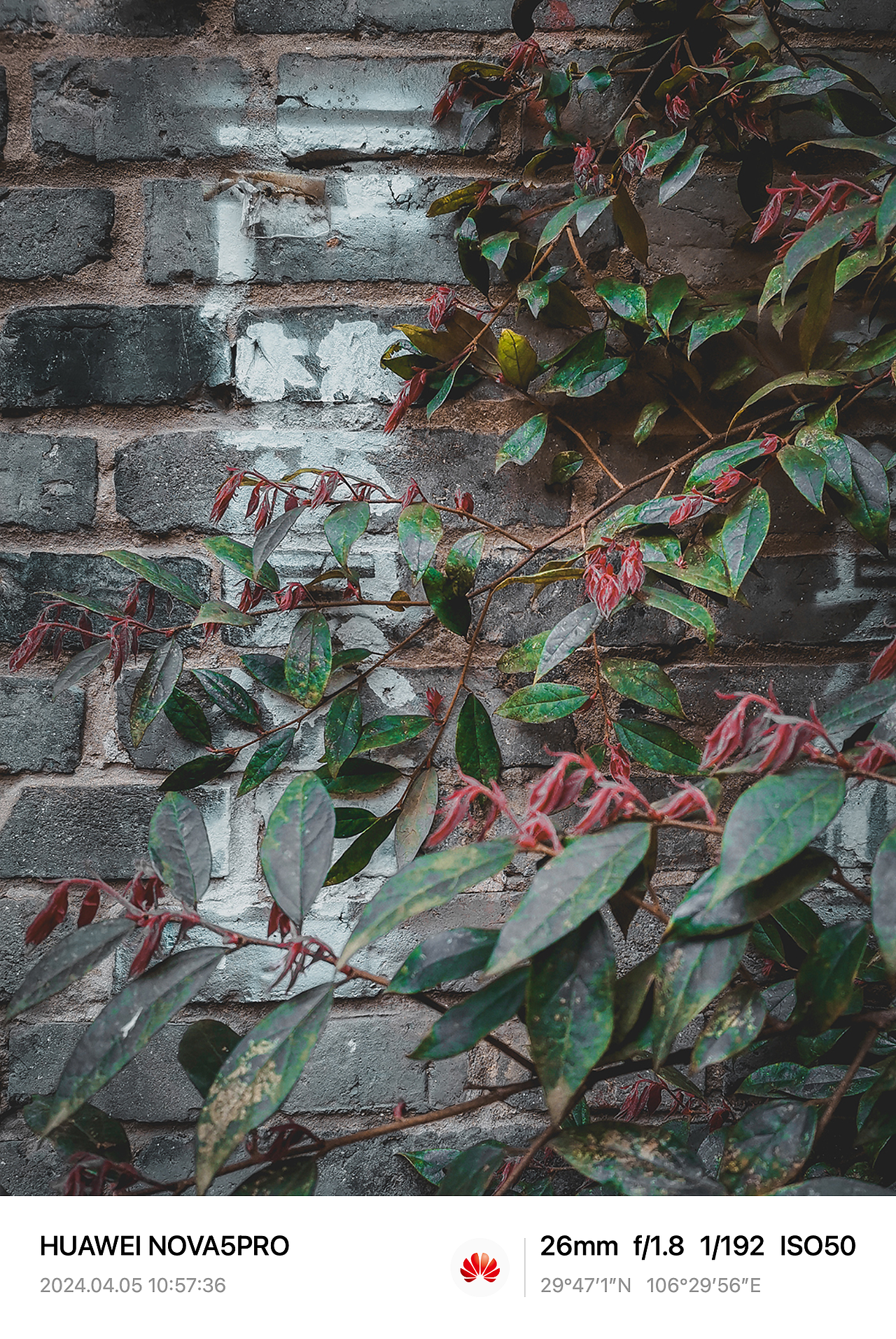 在老山城的街头巷尾,时光仿佛停滞了