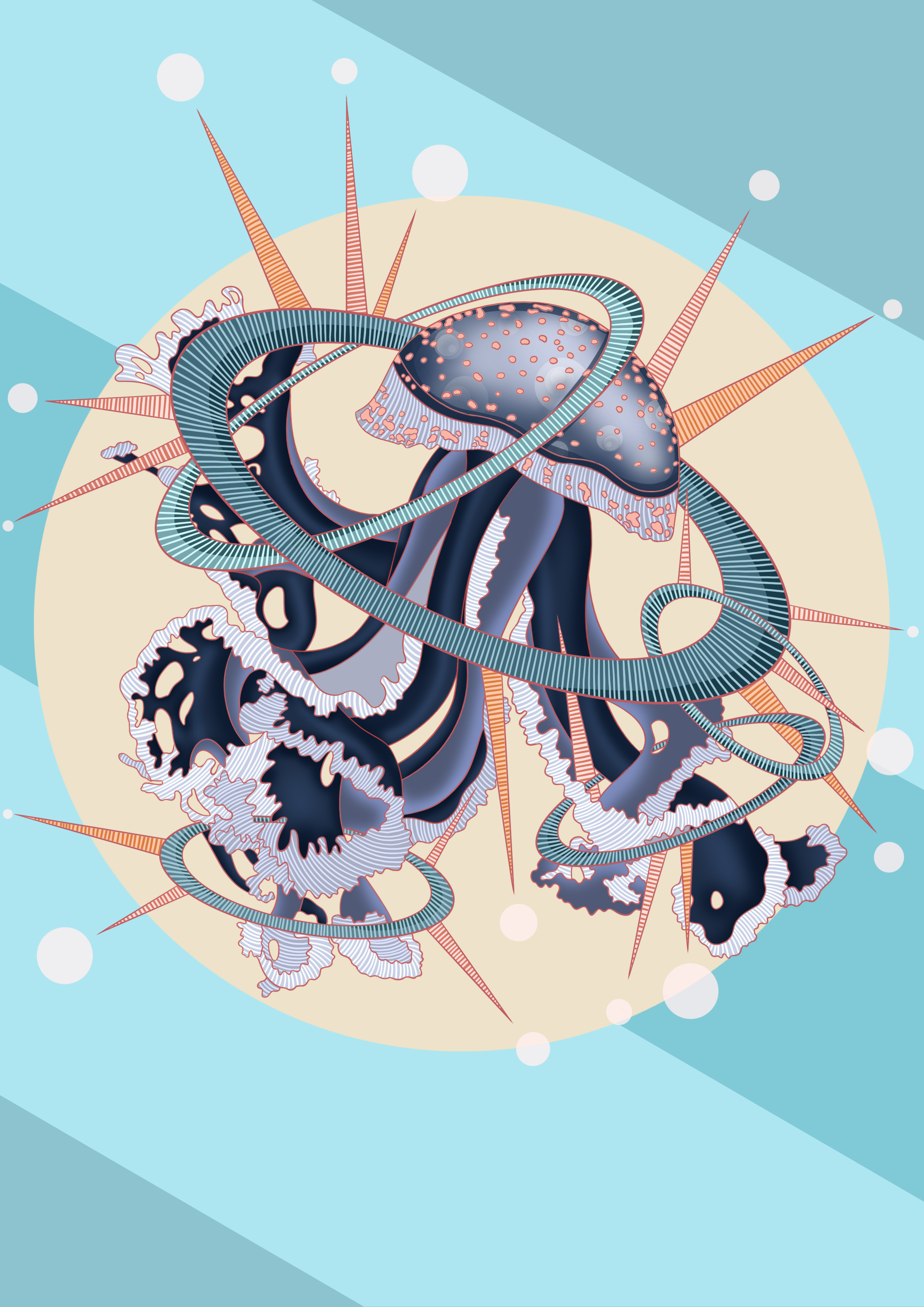 画个水母当壁纸