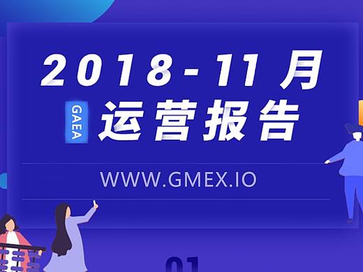 运营月报 详情页