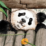 尘曦治愈插画的头像