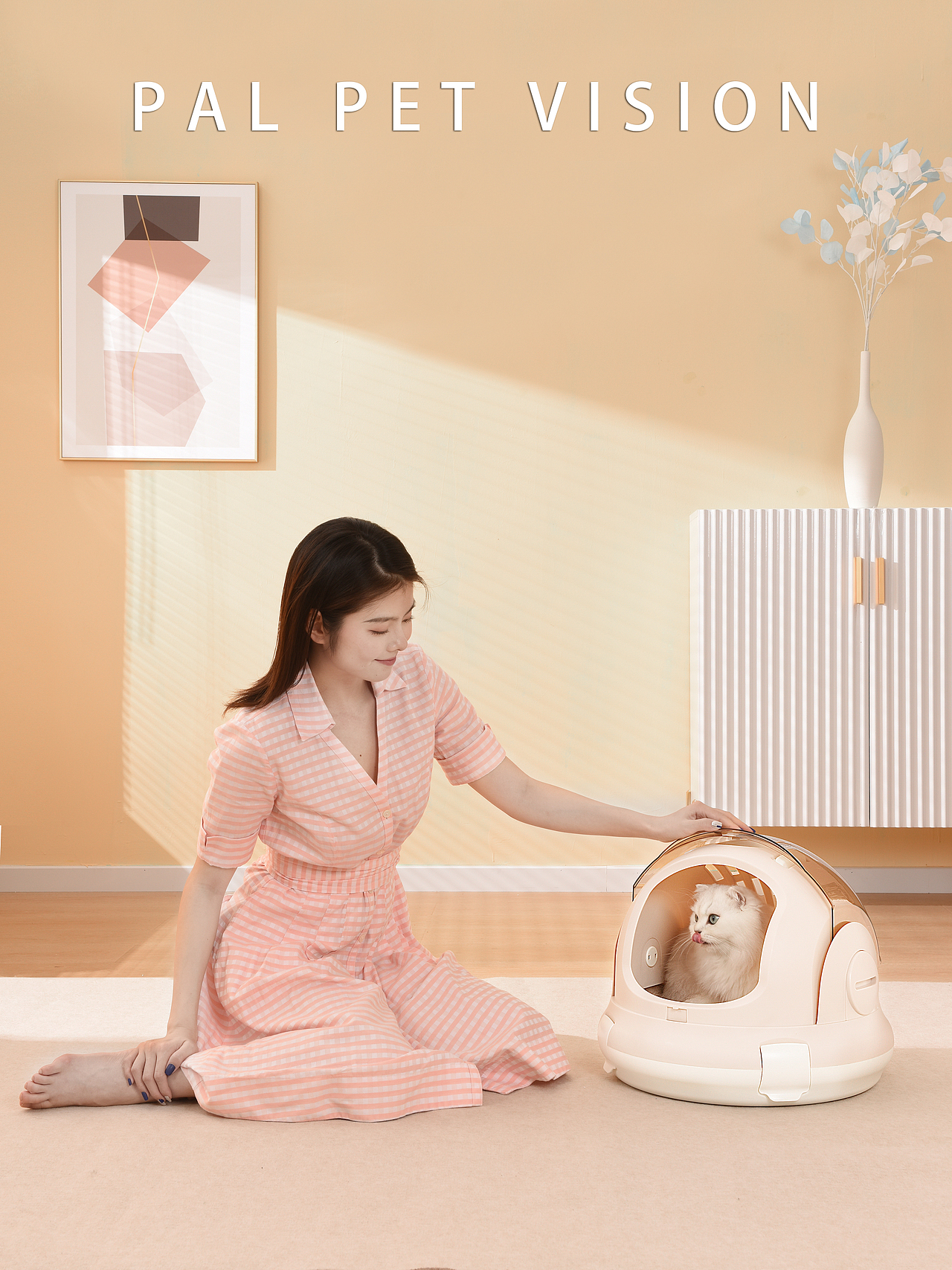 宠物用品/宠物产品/猫咪用品摄影之猫咪背包