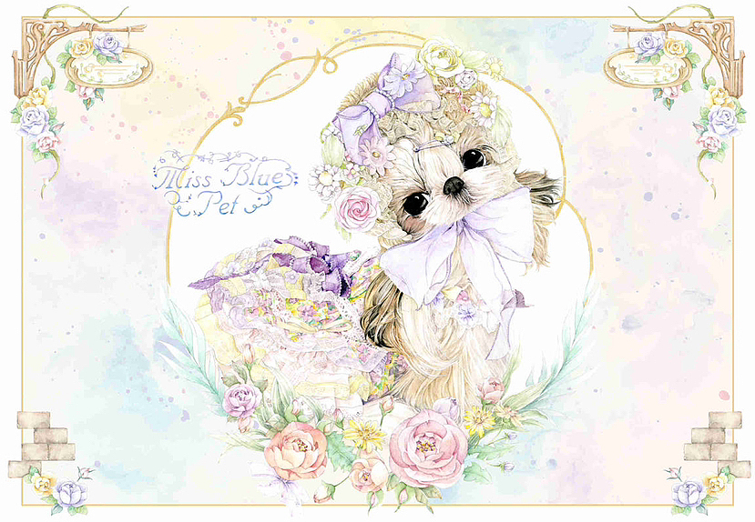 甜蜜花园里的西施犬