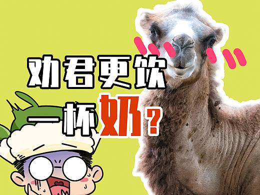 劝奶歌竟然成为了非物质文化遗产？