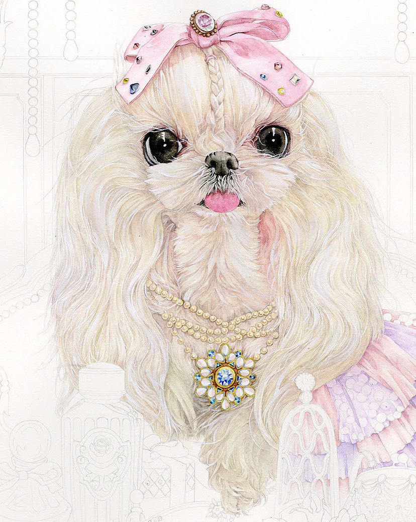 狗中贵族马尔济斯（图ZMzI1ODEyMDA4） - 创作习作 - 站酷设计师爱做梦的猫原创素材 - 站酷ZCOOL