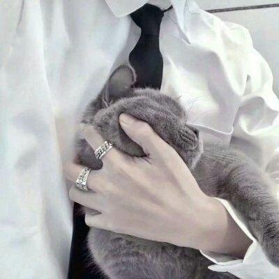 qzsk的个人主页（背景预览） - 主页背景设置 - 站酷设计师qzsk原创素材 - 站酷ZCOOL