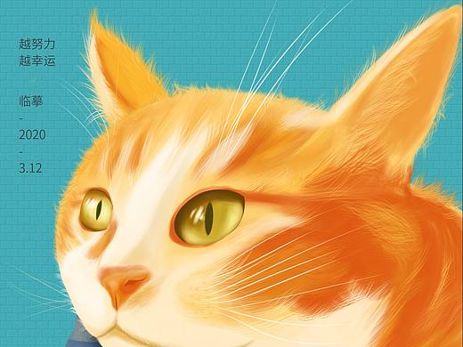 猫咪手绘练习