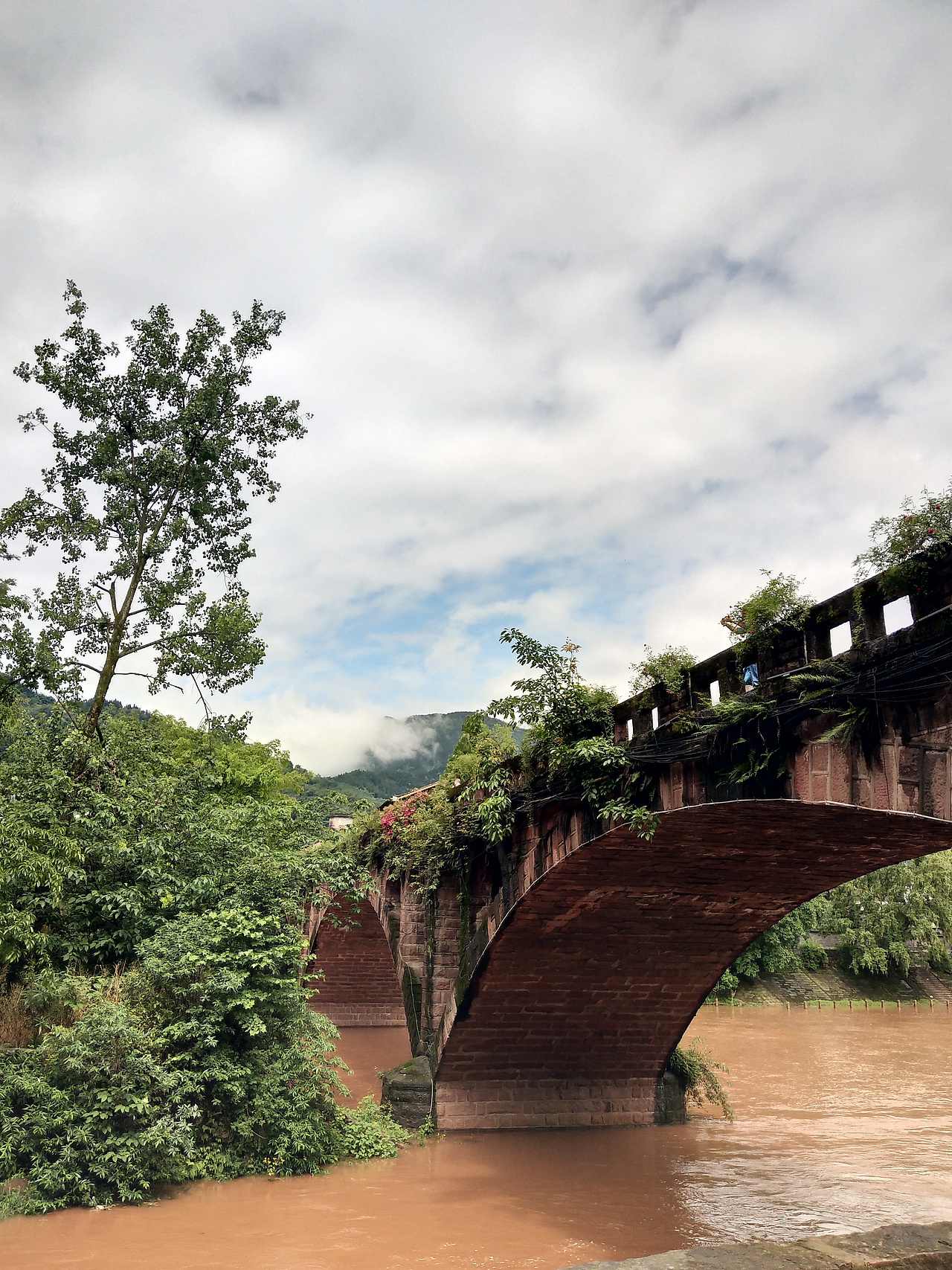 一些随意拍摄作品~（新手-不好的地方请多多指教）！