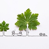 思惜的头像