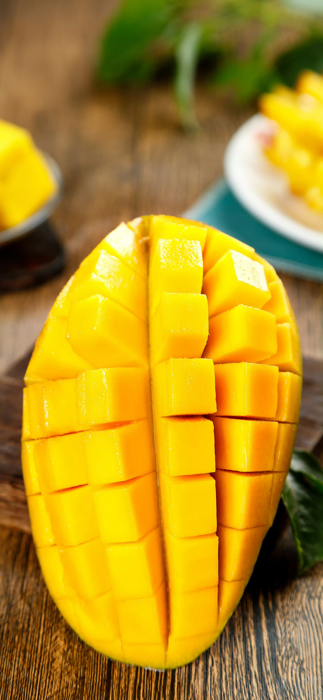 如果你太重视某件事情,就会成为它的奴隶。