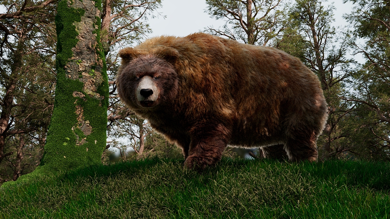 棕熊毛发测试wip