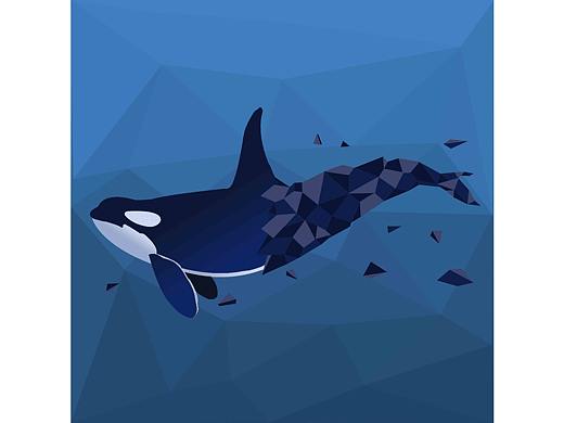 多边形 鲸鱼