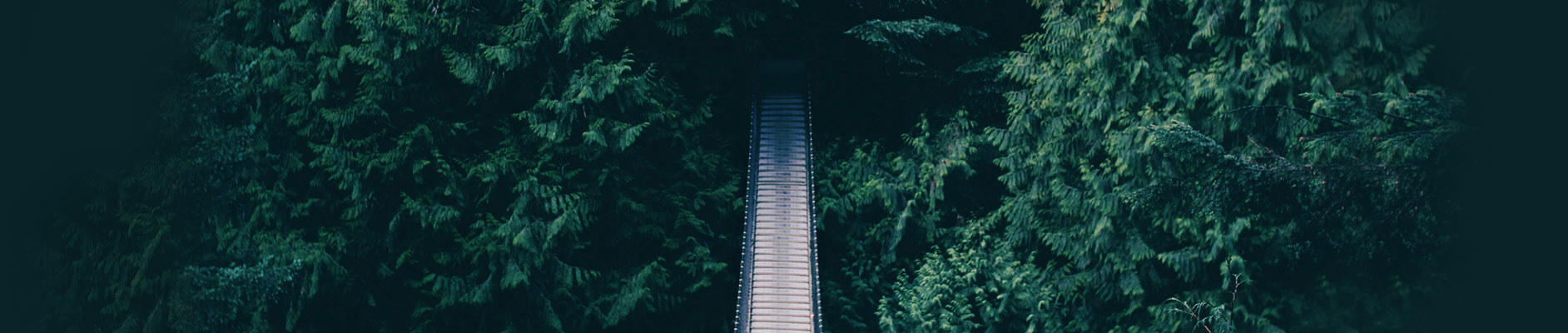 Helen__的個(gè)人主頁(yè)（背景預(yù)覽） - 主頁(yè)背景設(shè)置 - 站酷設(shè)計(jì)師Helen__原創(chuàng)素材 - 站酷ZCOOL